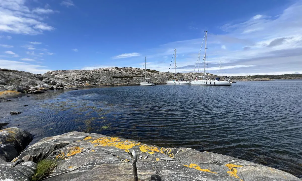 Vaxholmen: {"base": "no", "no": "Den s\u00f8ndre bukten har plass til flere b\u00e5ter. M\u00e5 v\u00e6re obs her ogs\u00e5. Enkelte grunner.", "se": "Den s\u00f6dra bukten har plats f\u00f6r flera b\u00e5tar. M\u00e5ste vara uppm\u00e4rksam h\u00e4r ocks\u00e5. N\u00e5gra grund.", "en": "The southern bay has space for several boats. Must be alert here as well. Some shallows.", "da": "Den sydlige bugt har plads til flere b\u00e5de. M\u00e5 v\u00e6re opm\u00e6rksom her ogs\u00e5. Enkelte grunde."}