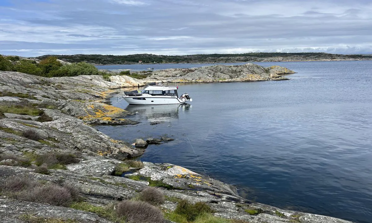 Vaxholmen: {"base": "no", "no": "Her er der mye steiner. Kun en plass hvor du ser boltene og hvor v\u00e5r v\u00e5t ligger. Det er grunner p\u00e5 begge sider. Vannet hadde d\u00e5rlig sikt s\u00e5 vanskelig \u00e5 se grunner. Dette er bukten som er i midten. P\u00e5 odeen hvor bilde er tatt er det bolter og dypt", "se": "H\u00e4r \u00e4r det m\u00e5nga stenar. Endast en plats d\u00e4r du kan se bultarna och d\u00e4r v\u00e5r v\u00e5gbrytare ligger. Det finns grynnor p\u00e5 b\u00e5da sidorna. Vattnet hade d\u00e5lig sikt s\u00e5 det var sv\u00e5rt att se grynnorna. Detta \u00e4r viken som \u00e4r i mitten. P\u00e5 udden d\u00e4r bilden \u00e4r tagen finns bultar och det \u00e4r djupt.", "en": "Here there are many rocks. Only one spot where you see the bolts and where our buoy is located. There are shoals on both sides. The water had poor visibility so it was difficult to see the shoals. This is the bay in the middle. On the point where the picture is taken, there are bolts and deep water.", "da": "Her er der mange sten. Kun \u00e9n plads hvor du ser boltene, og hvor vores b\u00e5d ligger. Der er grunde p\u00e5 begge sider. Vandet havde d\u00e5rlig sigt, s\u00e5 sv\u00e6rt at se grunde. Dette er bugten, som er i midten. P\u00e5 odden hvor billedet er taget, er der bolte og dybt"}