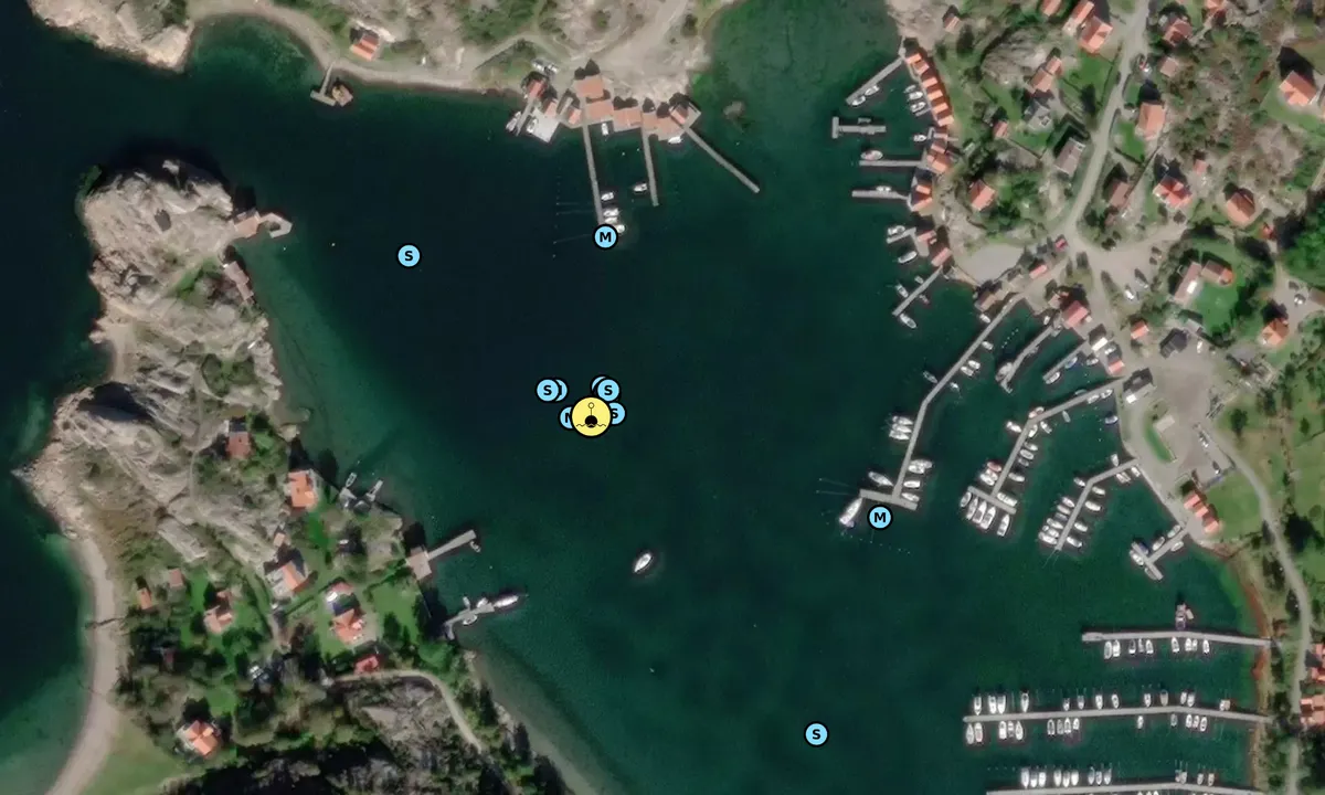 Satelite image of Veddökilen - SXK Västkust bouy