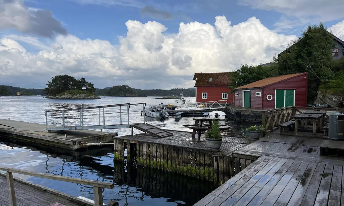 Vedholmen - Lepsøy
