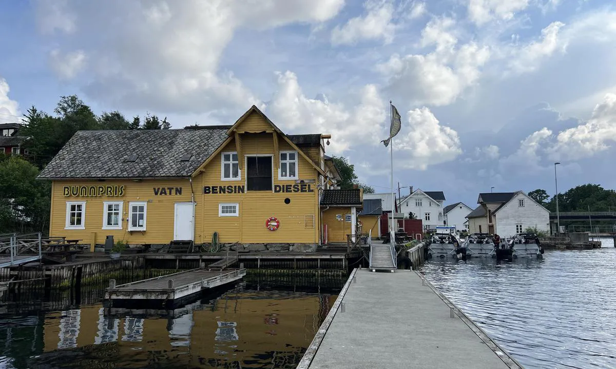 Vedholmen - Lepsøy