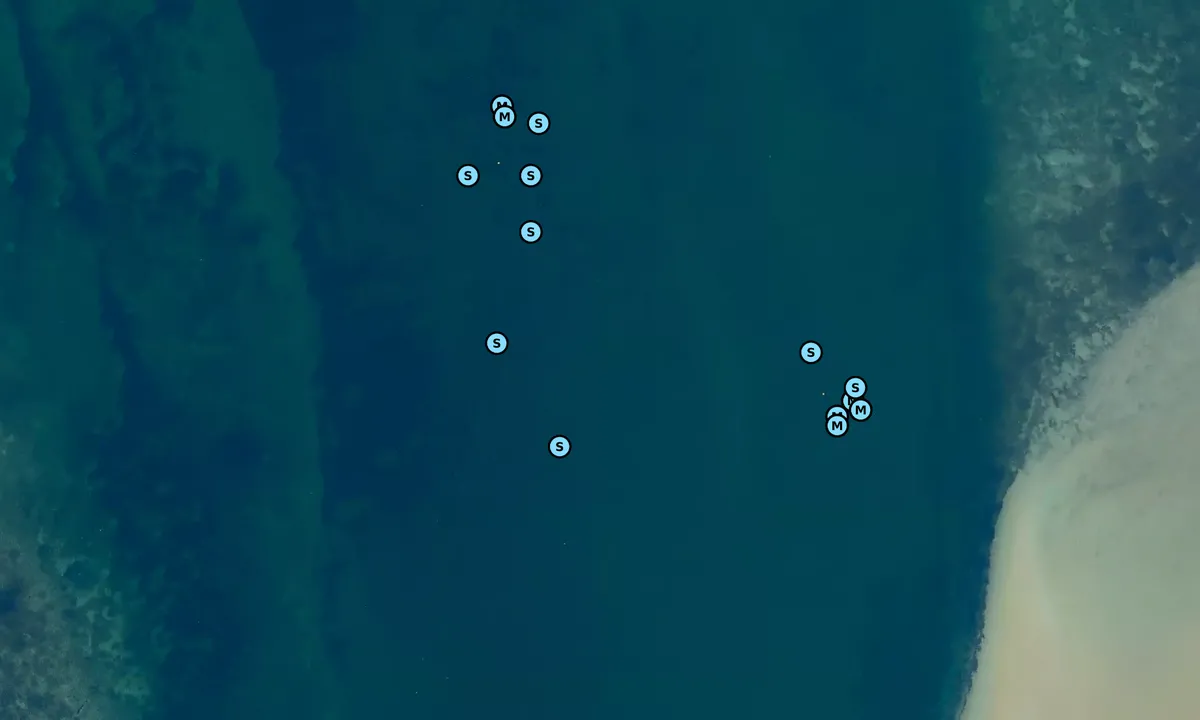 Satelite image of Vejdyb