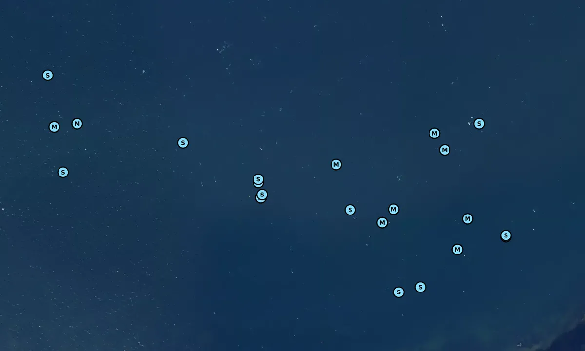 Satelite image of Vejle Fjord - Andkærvig bouy
