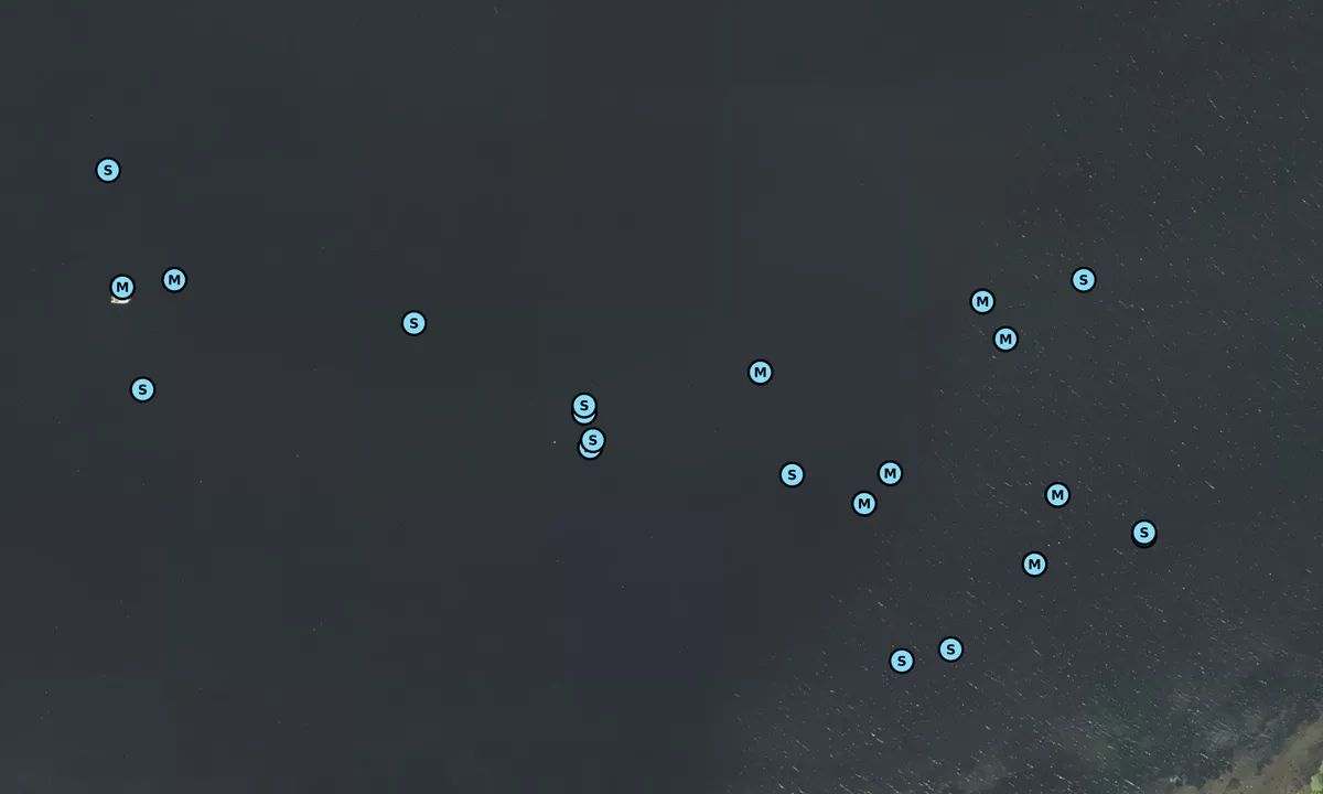 Satelite image of Vejle Fjord - Andkærvig bouy