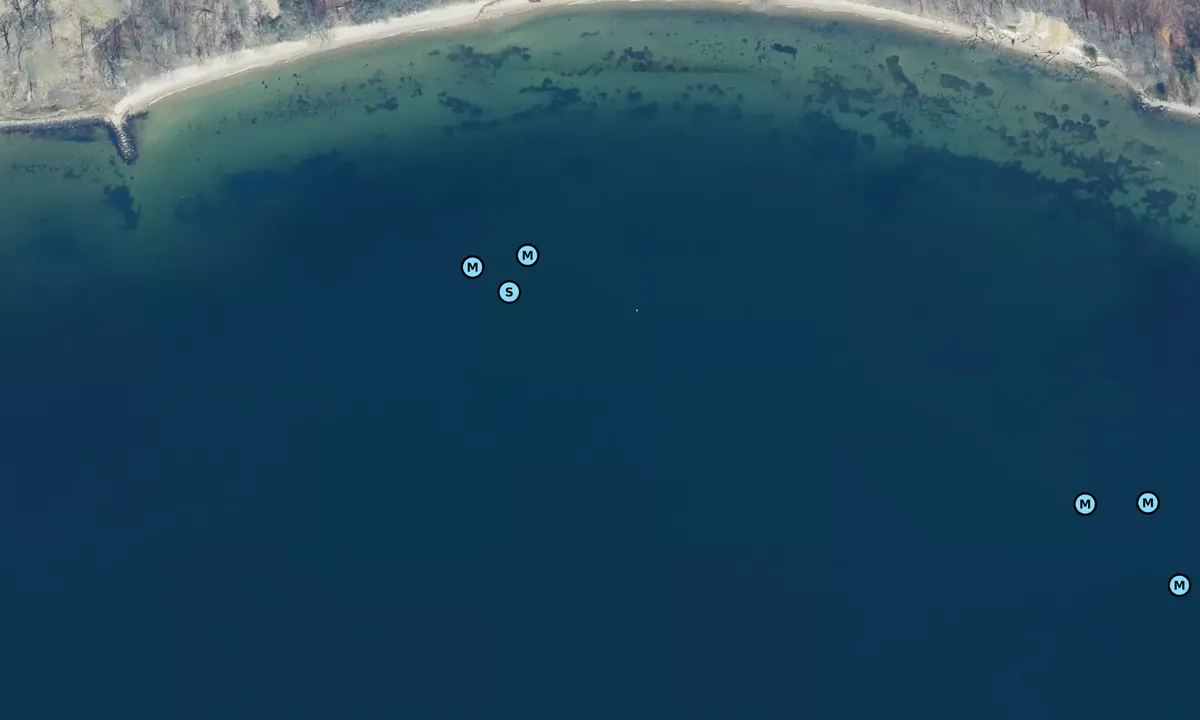 Satelite image of Vejle Fjord - Fakkegrav bouy