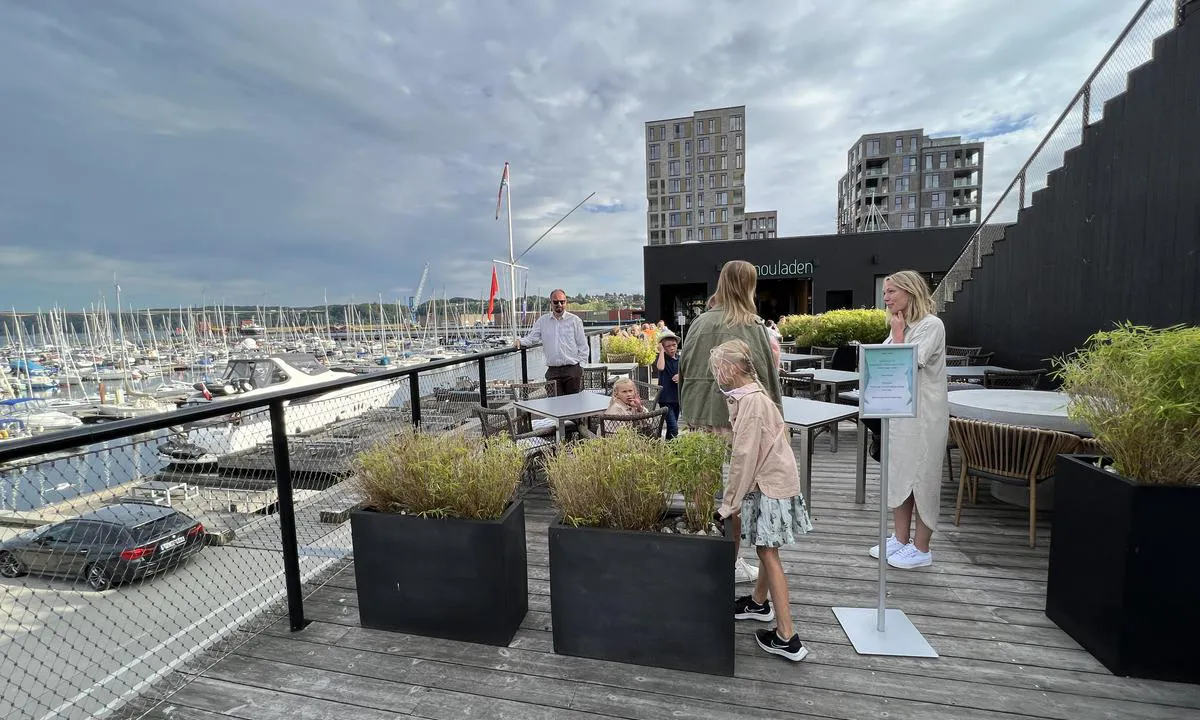 Vejle Lystbådehavn