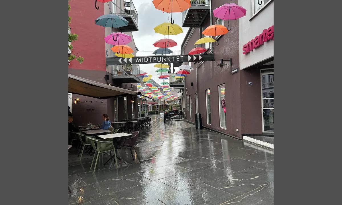 Vejle Lystbådehavn