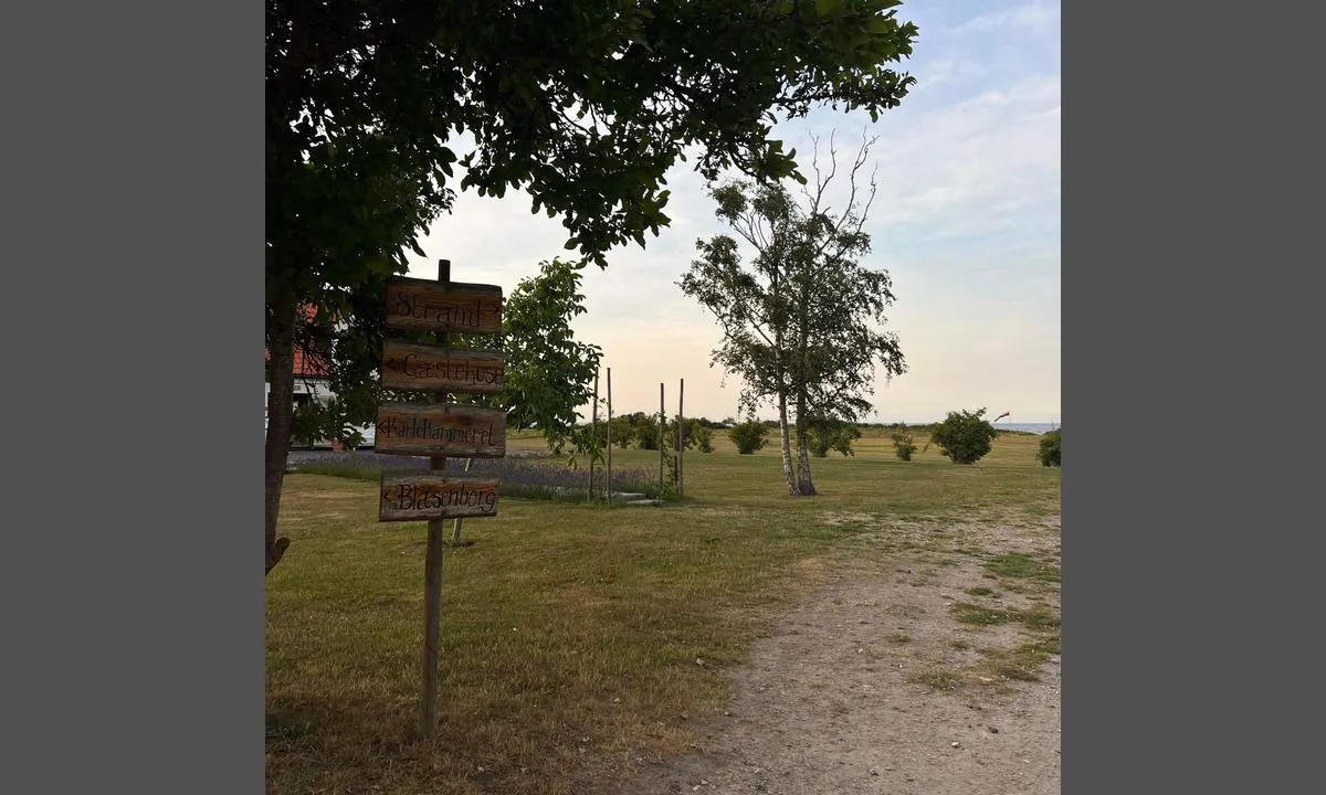 Vejrø Marina