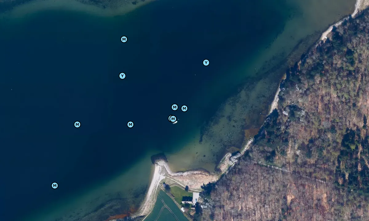 Satelite image of Vellerup Vig bouy