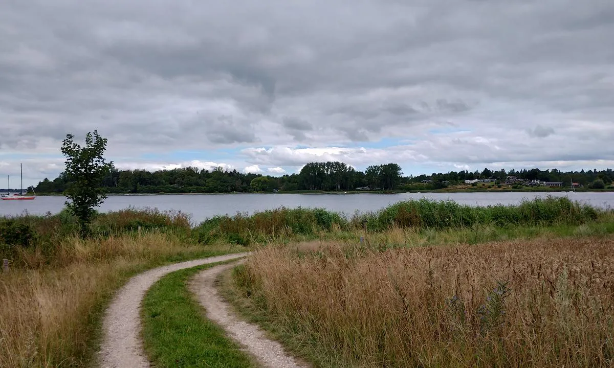 Vellerup Vig bouy: {"base": "en", "no": "Fra s\u00f8rkysten er det et lite landsted n\u00e6r denne veien du ikke ville forvente.<br>Vi gikk i en time til et supermarked.<br>P\u00e5 nordsiden er det en liten lekeplass.", "se": "Fr\u00e5n sydkusten finns det en liten landningsplats n\u00e4ra denna v\u00e4g som du inte skulle f\u00f6rv\u00e4nta dig. Vi gick en timme till en mataff\u00e4r. P\u00e5 norra sidan finns en liten lekplats.", "en": "From the south coast, there is a little landing place near this road you would not expect.\r\nWe walked in an hour to a supermarket\r\nOn the north side is a little playingground", "da": "Fra sydkysten er der en lille landingsplads n\u00e6r denne vej, som du ikke ville forvente. Vi gik en time til et supermarked. P\u00e5 nordsiden er der en lille legeplads.", "fr": "Depuis la c\u00f4te sud, il y a un petit d\u00e9barcad\u00e8re pr\u00e8s de cette route que vous ne vous attendriez pas \u00e0 trouver.<br>Nous avons march\u00e9 pendant une heure jusqu'\u00e0 un supermarch\u00e9.<br>Du c\u00f4t\u00e9 nord, il y a une petite aire de jeux.", "de": "Von der S\u00fcdk\u00fcste aus gibt es in der N\u00e4he dieser Stra\u00dfe einen kleinen Anlegeplatz, den man nicht erwarten w\u00fcrde.<br/>Wir gingen in einer Stunde zu einem Supermarkt.<br/>Auf der Nordseite befindet sich ein kleiner Spielplatz.", "es": "Desde la costa sur, hay un peque\u00f1o lugar de desembarco cerca de esta carretera que no esperar\u00edas.<br> Caminamos una hora hasta un supermercado.<br> En el lado norte hay un peque\u00f1o parque infantil", "it": "Dalla costa sud, c'\u00e8 un piccolo punto di sbarco vicino a questa strada che non vi aspettereste. Abbiamo camminato per un'ora per arrivare a un supermercato. Sul lato nord c'\u00e8 un piccolo parco giochi.", "pt": "Da costa sul, h\u00e1 um pequeno ponto de desembarque perto desta estrada que voc\u00ea n\u00e3o esperaria.<br>Caminhamos por uma hora at\u00e9 um supermercado.<br>No lado norte h\u00e1 um pequeno parque infantil.", "nl": "Vanaf de zuidkust is er een kleine aanlegplaats nabij deze weg die je niet zou verwachten.<br>We liepen in een uur naar een supermarkt.<br>Aan de noordzijde is een kleine speeltuin.", "pl": "Od po\u0142udniowego wybrze\u017ca znajduje si\u0119 ma\u0142e miejsce do l\u0105dowania blisko tej drogi, kt\u00f3rego by\u015b si\u0119 nie spodziewa\u0142.<br>Przeszli\u015bmy godzin\u0119 do supermarketu.<br>Po p\u00f3\u0142nocnej stronie znajduje si\u0119 ma\u0142y plac zabaw.", "uk": "\u0417 \u043f\u0456\u0432\u0434\u0435\u043d\u043d\u043e\u0433\u043e \u0443\u0437\u0431\u0435\u0440\u0435\u0436\u0436\u044f \u0454 \u043d\u0435\u0432\u0435\u043b\u0438\u043a\u0435 \u043c\u0456\u0441\u0446\u0435 \u0434\u043b\u044f \u043f\u0440\u0438\u0447\u0430\u043b\u0443 \u0431\u0456\u043b\u044f \u0446\u0456\u0454\u0457 \u0434\u043e\u0440\u043e\u0433\u0438, \u044f\u043a\u043e\u0433\u043e \u0432\u0438 \u043d\u0435 \u043e\u0447\u0456\u043a\u0443\u0432\u0430\u043b\u0438.<br>\u041c\u0438 \u0439\u0448\u043b\u0438 \u043e\u0434\u043d\u0443 \u0433\u043e\u0434\u0438\u043d\u0443 \u0434\u043e \u0441\u0443\u043f\u0435\u0440\u043c\u0430\u0440\u043a\u0435\u0442\u0443.<br>\u0417 \u043f\u0456\u0432\u043d\u0456\u0447\u043d\u043e\u0433\u043e \u0431\u043e\u043a\u0443 \u0454 \u043d\u0435\u0432\u0435\u043b\u0438\u043a\u0438\u0439 \u0434\u0438\u0442\u044f\u0447\u0438\u0439 \u043c\u0430\u0439\u0434\u0430\u043d\u0447\u0438\u043a.", "ro": "De pe coasta de sud, exist\u0103 un mic loc de acostare l\u00e2ng\u0103 acest drum la care nu te-ai a\u0219tepta.<br>Am mers pe jos timp de o or\u0103 p\u00e2n\u0103 la un supermarket.<br>Pe partea de nord, exist\u0103 un mic loc de joac\u0103.", "tr": "G\u00fcney sahilinden, bu yolun yak\u0131n\u0131nda beklenmedik k\u00fc\u00e7\u00fck bir indirme yeri var.<br>Bir s\u00fcpermarkete bir saatte y\u00fcr\u00fcd\u00fck.<br>Kuzey taraf\u0131nda k\u00fc\u00e7\u00fck bir oyun alan\u0131 var.", "el": "\u0391\u03c0\u03cc \u03c4\u03b7 \u03bd\u03cc\u03c4\u03b9\u03b1 \u03b1\u03ba\u03c4\u03ae, \u03c5\u03c0\u03ac\u03c1\u03c7\u03b5\u03b9 \u03ad\u03bd\u03b1 \u03bc\u03b9\u03ba\u03c1\u03cc \u03b1\u03c0\u03bf\u03b2\u03ac\u03b8\u03c1\u03b1 \u03ba\u03bf\u03bd\u03c4\u03ac \u03c3\u03b5 \u03b1\u03c5\u03c4\u03cc\u03bd \u03c4\u03bf\u03bd \u03b4\u03c1\u03cc\u03bc\u03bf \u03c0\u03bf\u03c5 \u03b4\u03b5\u03bd \u03b8\u03b1 \u03c0\u03b5\u03c1\u03b9\u03bc\u03ad\u03bd\u03b1\u03c4\u03b5. \u03a0\u03b5\u03c1\u03c0\u03b1\u03c4\u03ae\u03c3\u03b1\u03bc\u03b5 \u03b3\u03b9\u03b1 \u03bc\u03b9\u03b1 \u03ce\u03c1\u03b1 \u03c0\u03c1\u03bf\u03c2 \u03ad\u03bd\u03b1 \u03c3\u03bf\u03cd\u03c0\u03b5\u03c1 \u03bc\u03ac\u03c1\u03ba\u03b5\u03c4. \u03a3\u03c4\u03b7 \u03b2\u03cc\u03c1\u03b5\u03b9\u03b1 \u03c0\u03bb\u03b5\u03c5\u03c1\u03ac \u03c5\u03c0\u03ac\u03c1\u03c7\u03b5\u03b9 \u03bc\u03b9\u03b1 \u03bc\u03b9\u03ba\u03c1\u03ae \u03c0\u03b1\u03b9\u03b4\u03b9\u03ba\u03ae \u03c7\u03b1\u03c1\u03ac.", "cs": "Ze ji\u017en\u00edho pob\u0159e\u017e\u00ed je u t\u00e9to cesty mal\u00e9 p\u0159ist\u00e1vac\u00ed m\u00edsto, kter\u00e9 byste ne\u010dekali.<br>Do\u0161li jsme za hodinu k supermarketu.<br>Na severn\u00ed stran\u011b je mal\u00e9 h\u0159i\u0161t\u011b.", "hu": "A d\u00e9li partt\u00f3l van egy kis kik\u00f6t\u0151hely ezen az \u00faton, amire nem sz\u00e1m\u00edtan\u00e1l. Egy \u00f3ra alatt s\u00e9t\u00e1ltunk el egy szupermarketbe. Az \u00e9szaki oldalon van egy kis j\u00e1tsz\u00f3t\u00e9r.", "fi": "Etel\u00e4rannikolta on pieni rantautumispaikka l\u00e4hell\u00e4 t\u00e4t\u00e4 tiet\u00e4, jota et odottaisi.\nK\u00e4velimme tunnin supermarkettiin.\nPohjoispuolella on pieni leikkipaikka.", "bg": "\u041e\u0442 \u044e\u0436\u043d\u0438\u044f \u0431\u0440\u044f\u0433 \u0438\u043c\u0430 \u043c\u0430\u043b\u043a\u043e \u043c\u044f\u0441\u0442\u043e \u0437\u0430 \u0430\u043a\u043e\u0441\u0442\u0438\u0440\u0430\u043d\u0435 \u0431\u043b\u0438\u0437\u043e \u0434\u043e \u0442\u043e\u0437\u0438 \u043f\u044a\u0442, \u043a\u043e\u0435\u0442\u043e \u043d\u0435 \u0431\u0438\u0445\u0442\u0435 \u043e\u0447\u0430\u043a\u0432\u0430\u043b\u0438.<br>\u0425\u043e\u0434\u0438\u0445\u043c\u0435 \u043f\u0435\u0448\u0430 \u0435\u0434\u0438\u043d \u0447\u0430\u0441 \u0434\u043e \u0441\u0443\u043f\u0435\u0440\u043c\u0430\u0440\u043a\u0435\u0442<br>\u041d\u0430 \u0441\u0435\u0432\u0435\u0440\u043d\u0430\u0442\u0430 \u0441\u0442\u0440\u0430\u043d\u0430 \u0438\u043c\u0430 \u043c\u0430\u043b\u043a\u0430 \u0434\u0435\u0442\u0441\u043a\u0430 \u043f\u043b\u043e\u0449\u0430\u0434\u043a\u0430", "sr": "Sa ju\u017ene obale, postoji mali dok pored ovog puta koji ne biste o\u010dekivali.<br>\u0160etali smo jedan sat do supermarketa.<br>Na severnoj strani je malo igrali\u0161te.", "et": "L\u00f5unarannikul on selle tee l\u00e4hedal v\u00e4ike maandumispaik, mida te ei oskaks oodata.<br>Me jalutasime tunni aja jooksul supermarketisse.<br>P\u00f5hjak\u00fcljel on v\u00e4ike m\u00e4nguv\u00e4ljak.", "lv": "No dienvidu puses krasta pie \u0161\u012b ce\u013ca ir neliela piest\u0101tne, ko j\u016bs var\u0113tu negaid\u012bt.<br> M\u0113s nog\u0101j\u0101m stundu uz lielveikalu.<br> Zieme\u013cu pus\u0113 ir neliels rota\u013claukums.", "lt": "Nuo pietin\u0117s pakrant\u0117s yra nedidel\u0117 prieplauka netoli \u0161io kelio, kurioje nesitik\u0117tum\u0117te. Mes \u0117jome valand\u0105 iki prekybos centro. \u0160iaurin\u0117je pus\u0117je yra nedidel\u0117 \u017eaidim\u0173 aik\u0161tel\u0117."}
