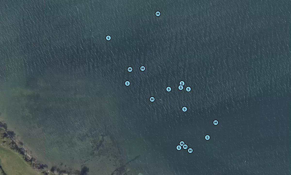 Satelite image of Vemming Bund SW bouy
