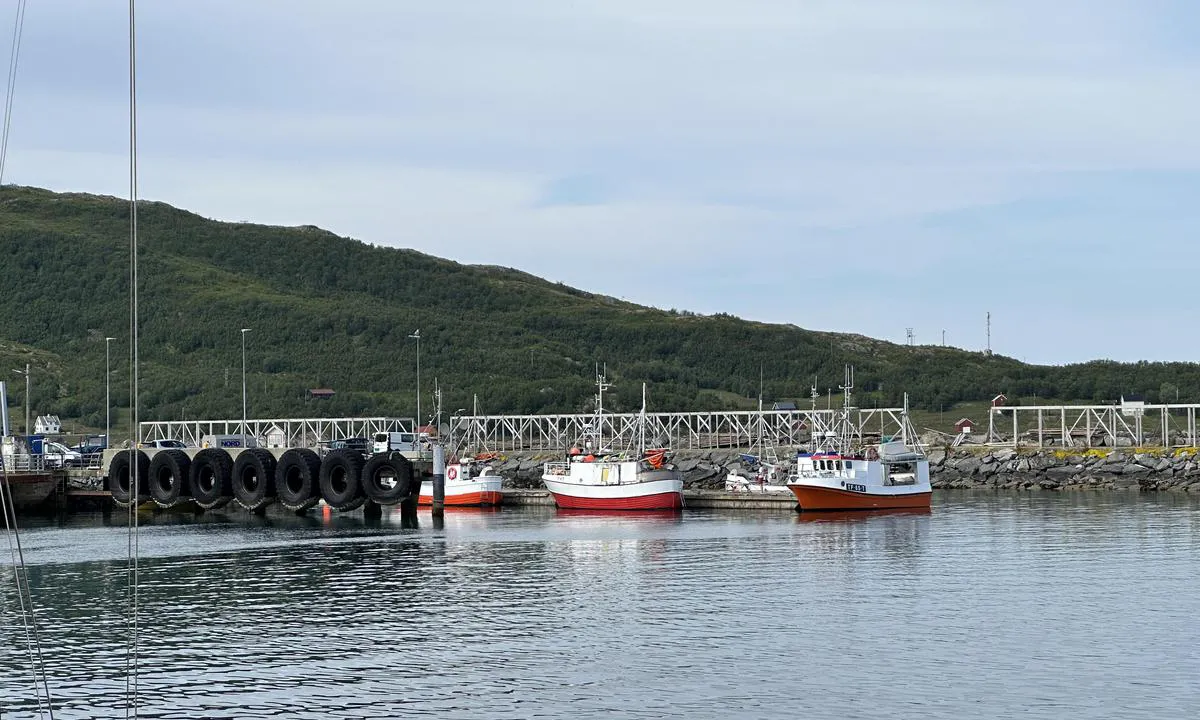 Vengsøya