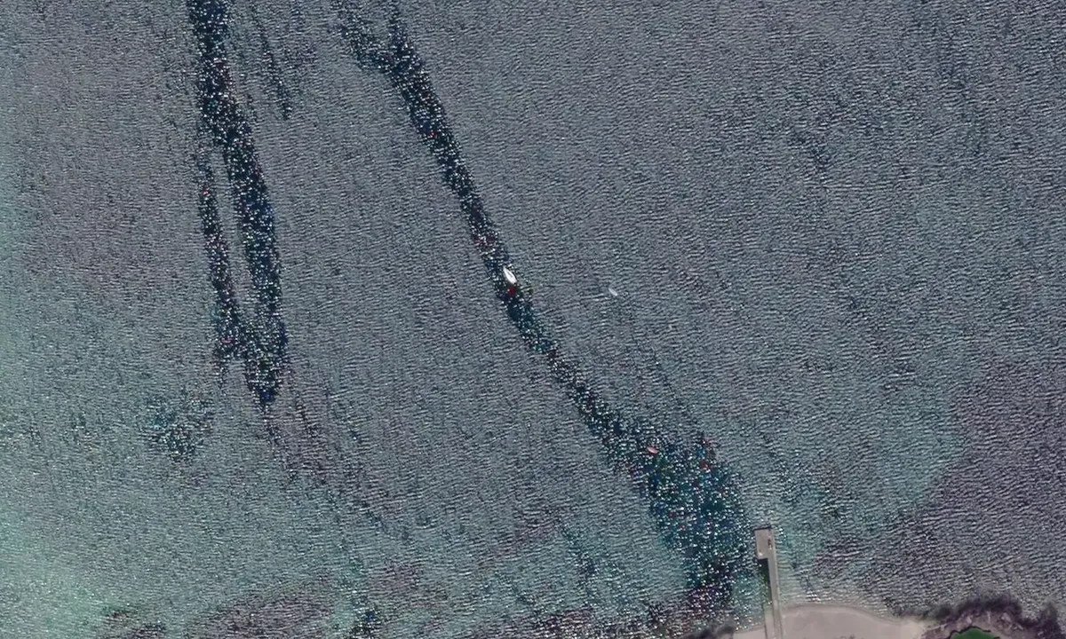 Satelite image of Ventry harbour