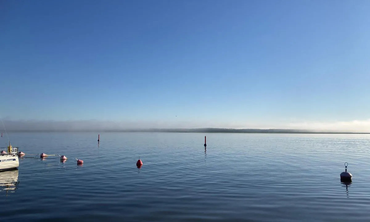 Veskiviigi Port: {"base": "se", "no": "En smal dyp renne bak b\u00f8yene - man skal ikke kj\u00f8re utenfor de r\u00f8de prikkene", "se": "En smal djup r\u00e4nna bakom b\u00f6jarna- man ska inte k\u00f6ra utanf\u00f6r de r\u00f6da prickarna", "en": "A narrow deep channel behind the bends- you should not go outside the red marks", "da": "En smal dyb rende bag b\u00f8jerne- man skal ikke sejle uden for de r\u00f8de prikker"}