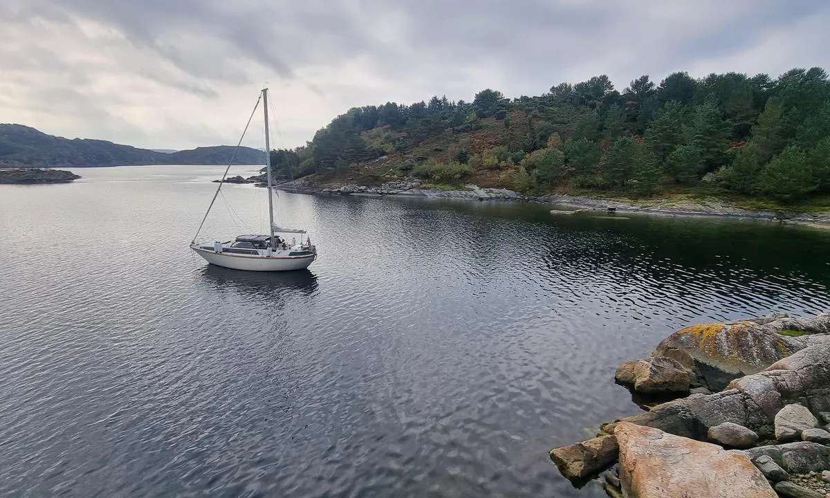 Vesterøy Austrevika Tysvær: {"base": "no", "no": "Godt ankerfeste og vel beskyttet mot de fleste vindretningen bortsett fra N\u00d8/\u00d8", "se": "Bra ankarf\u00e4ste och v\u00e4l skyddad mot de flesta vindriktningar f\u00f6rutom NO/\u00d6", "en": "Good anchorage and well protected against most wind directions except NE/E", "da": "Godt ankerfeste og vel beskyttet mod de fleste vindretninger bortset fra NV/\u00d8", "fr": "Bon ancrage et bien prot\u00e9g\u00e9 contre la plupart des directions des vents sauf N/NE/Est", "de": "Guter Ankergrund und gut gesch\u00fctzt gegen die meisten Windrichtungen, ausgenommen NO/O", "es": "Buen anclaje y bien protegido contra la mayor\u00eda de las direcciones del viento excepto NE/E", "it": "Buon ancoraggio e ben protetto dalla maggior parte delle direzioni del vento tranne NE/E", "pt": "Bom ponto de ancoragem e bem protegido contra a maioria das dire\u00e7\u00f5es do vento, exceto NE/E", "nl": "Goede ankergrond en goed beschermd tegen de meeste windrichtingen behalve NO/O", "pl": "Dobre kotwicowisko i dobrze chronione przed wi\u0119kszo\u015bci\u0105 kierunk\u00f3w wiatru opr\u00f3cz NE/E", "uk": "\u0414\u043e\u0431\u0440\u0435 \u044f\u043a\u0456\u0440\u043d\u0435 \u043c\u0456\u0441\u0446\u0435 \u0442\u0430 \u0434\u043e\u0431\u0440\u0435 \u0437\u0430\u0445\u0438\u0449\u0435\u043d\u0435 \u0432\u0456\u0434 \u0431\u0456\u043b\u044c\u0448\u043e\u0441\u0442\u0456 \u043d\u0430\u043f\u0440\u044f\u043c\u043a\u0456\u0432 \u0432\u0456\u0442\u0440\u0443, \u043e\u043a\u0440\u0456\u043c \u041f\u043d\u0421\u0445/\u0421\u0445", "ro": "Ancoraj bun \u0219i bine protejat de cele mai multe direc\u021bii ale v\u00e2ntului, cu excep\u021bia NE/E", "tr": "\u0130yi demir tutu\u015fu ve N/NE y\u00f6nlerinden esen r\u00fczg\u00e2rlar d\u0131\u015f\u0131nda \u00e7o\u011fu r\u00fczgar y\u00f6n\u00fcne kar\u015f\u0131 iyi korunmu\u015ftur", "el": "\u039a\u03b1\u03bb\u03ae \u03b1\u03b3\u03ba\u03c5\u03c1\u03bf\u03b2\u03cc\u03bb\u03b7\u03c3\u03b7 \u03ba\u03b1\u03b9 \u03ba\u03b1\u03bb\u03ac \u03c0\u03c1\u03bf\u03c3\u03c4\u03b1\u03c4\u03b5\u03c5\u03bc\u03ad\u03bd\u03b7 \u03b1\u03c0\u03cc \u03c4\u03b9\u03c2 \u03c0\u03b5\u03c1\u03b9\u03c3\u03c3\u03cc\u03c4\u03b5\u03c1\u03b5\u03c2 \u03ba\u03b1\u03c4\u03b5\u03c5\u03b8\u03cd\u03bd\u03c3\u03b5\u03b9\u03c2 \u03c4\u03bf\u03c5 \u03b1\u03bd\u03ad\u03bc\u03bf\u03c5 \u03b5\u03ba\u03c4\u03cc\u03c2 \u03b1\u03c0\u03cc \u0392\u0391/\u0391", "cs": "Dobr\u00e9 kotven\u00ed a dob\u0159e chr\u00e1n\u011bno proti v\u011bt\u0161in\u011b sm\u011br\u016f v\u011btru krom\u011b SV/V", "hu": "J\u00f3 horgonyz\u00e1s \u00e9s j\u00f3l v\u00e9dett a legt\u00f6bb sz\u00e9lir\u00e1ny ellen, kiv\u00e9ve \u00c9K/Kelet", "fi": "Hyv\u00e4 ankkuripaikka ja hyvin suojattu useimmilta tuulensuunnilta paitsi NE/E", "bg": "\u0414\u043e\u0431\u0440\u043e \u043a\u043e\u0442\u0432\u0435\u043d\u043e \u043c\u044f\u0441\u0442\u043e \u0438 \u0434\u043e\u0431\u0440\u0435 \u0437\u0430\u0449\u0438\u0442\u0435\u043d\u043e \u0441\u0440\u0435\u0449\u0443 \u043f\u043e\u0432\u0435\u0447\u0435\u0442\u043e \u043f\u043e\u0441\u043e\u043a\u0438 \u043d\u0430 \u0432\u044f\u0442\u044a\u0440\u0430, \u0441 \u0438\u0437\u043a\u043b\u044e\u0447\u0435\u043d\u0438\u0435 \u043d\u0430 \u0421\u0418/\u0418", "sr": "Dobro sidri\u0161te i dobro za\u0161ti\u0107eno od ve\u0107ine pravaca vetra osim od SI/I", "et": "Hea ankrukoht ja h\u00e4sti kaitstud enamiku tuule suundade eest, v\u00e4lja arvatud NE/E", "lv": "Labs enkura tur\u0113t\u0101js un labi aizsarg\u0101ts pret liel\u0101ko da\u013cu v\u0113ja virzienu, iz\u0146emot ZA/A", "lt": "Geras inkaravimas ir gerai apsaugotas nuo daugumos v\u0117j\u0173 kryp\u010di\u0173, i\u0161skyrus \u0160R/R"}