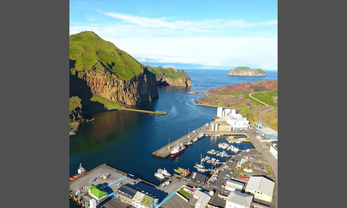 Vestmannaeyjar marina with sailboats and commercial ships