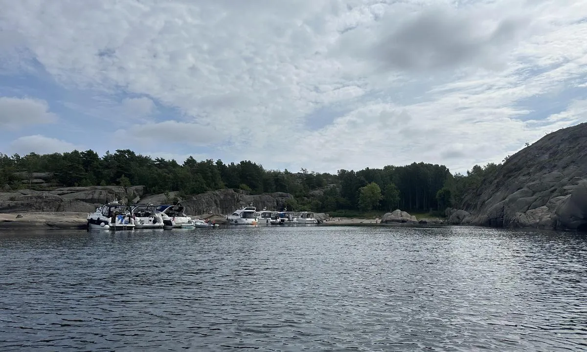 Vestre Bustein
