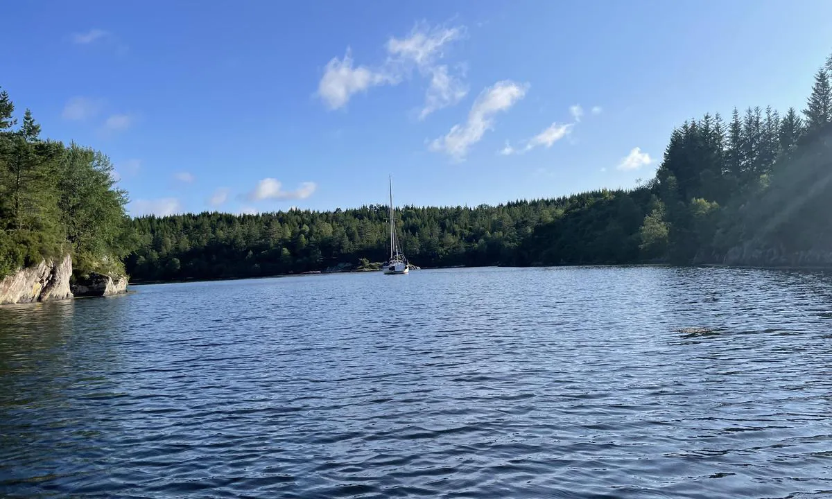 Vestre Eidsvika: {"base": "no", "no": "Fra innerst i viken.", "se": "Fr\u00e5n innerst i viken.", "en": "From the innermost part of the bay.", "da": "Fra inderst i vigen."}