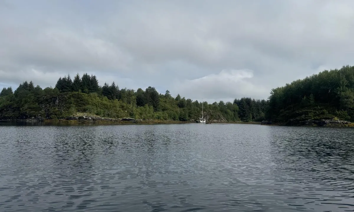 Vestre Eidsvika: {"base": "en", "no": "Fredelig sted, selv om det er mange sm\u00e5 motorb\u00e5ter som passerer gjennom sundet.", "se": "Fridfull plats, trots att det passerar m\u00e5nga sm\u00e5 motorb\u00e5tar genom sundet.", "en": "Peaceful spot, although there are a lot of small motor boats passing through the sound.", "da": "Fredfyldt sted, selvom der er mange sm\u00e5 motorb\u00e5de, der passerer gennem sundet."}