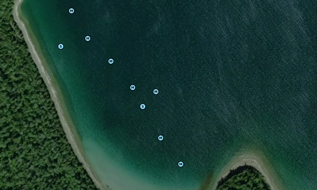 Satelite image of Vidal Bay