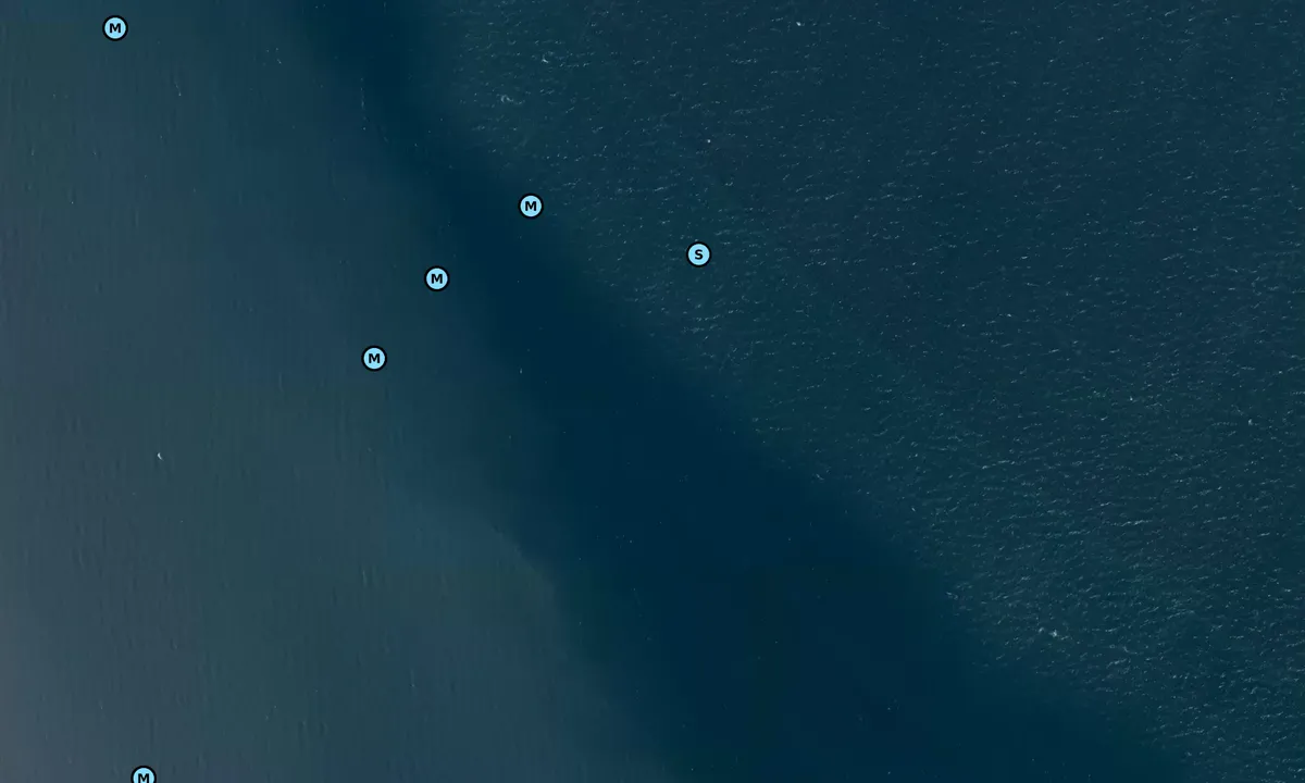 Satelite image of Viemose bouy