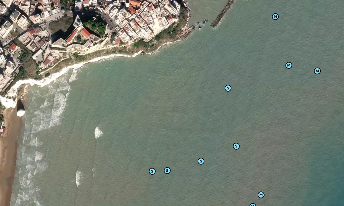 Satelite image of Vieste