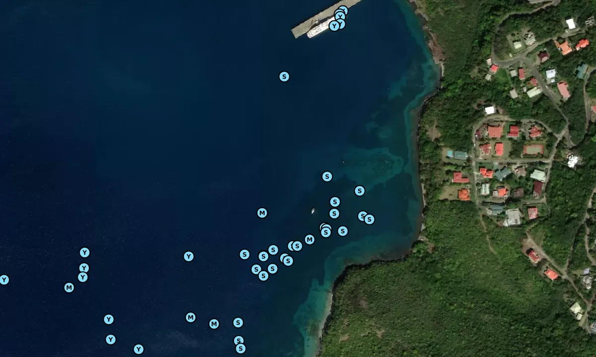 Satelite image of Vieux Fort
