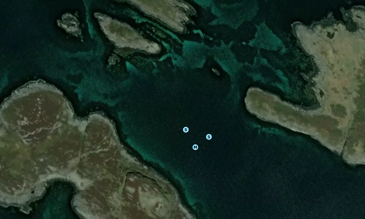 Satelite image of Vignesholmane