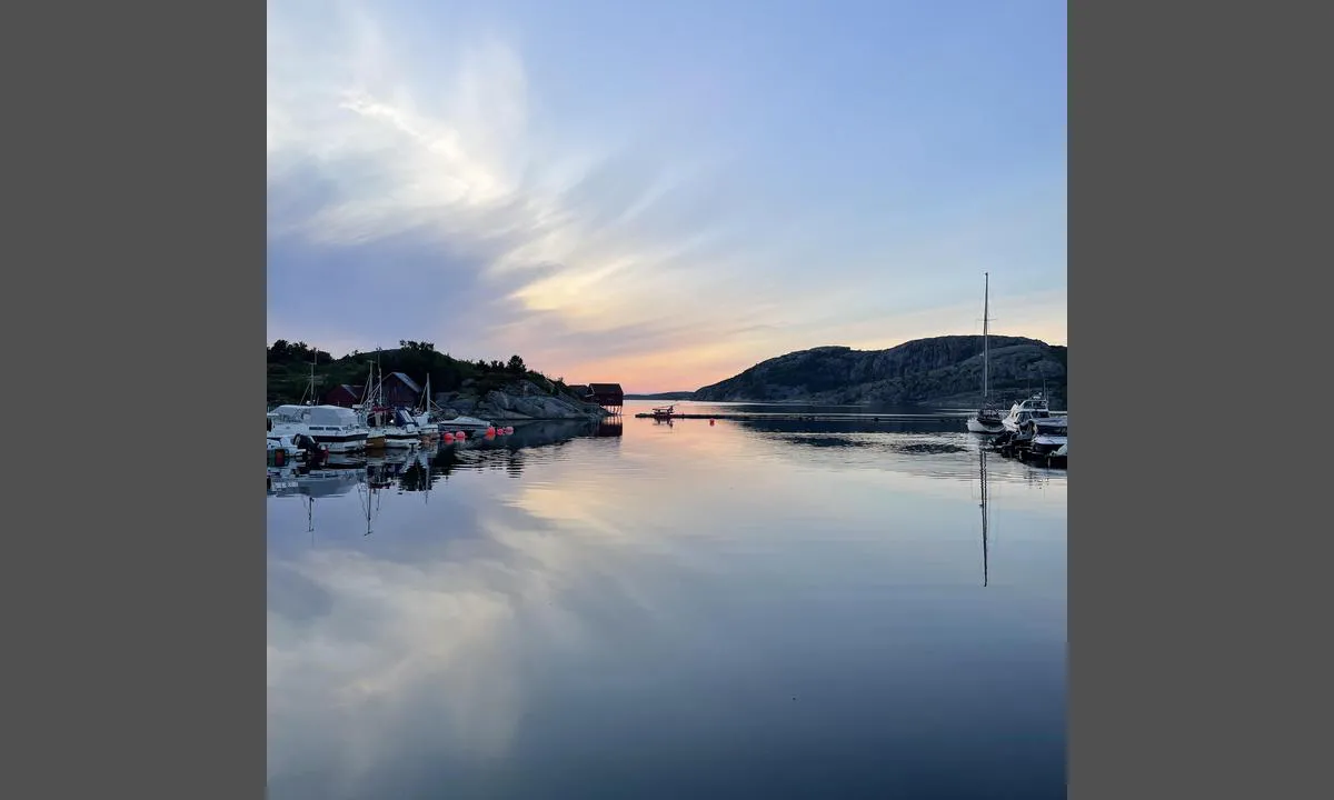 Vik Båtforening