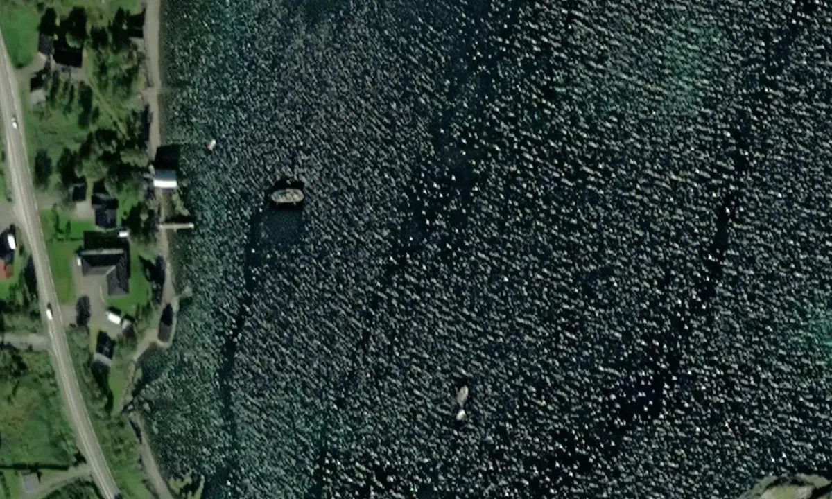 Satelite image of Vika - Silsand