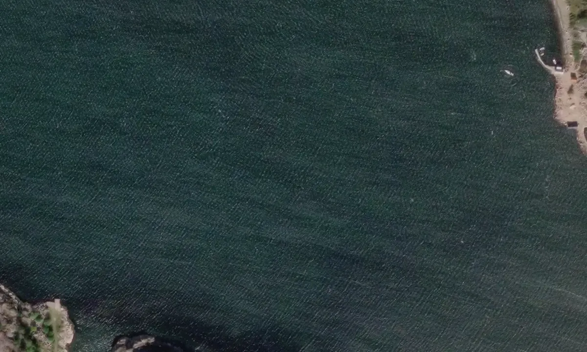 Flyfoto av Vikefjord
