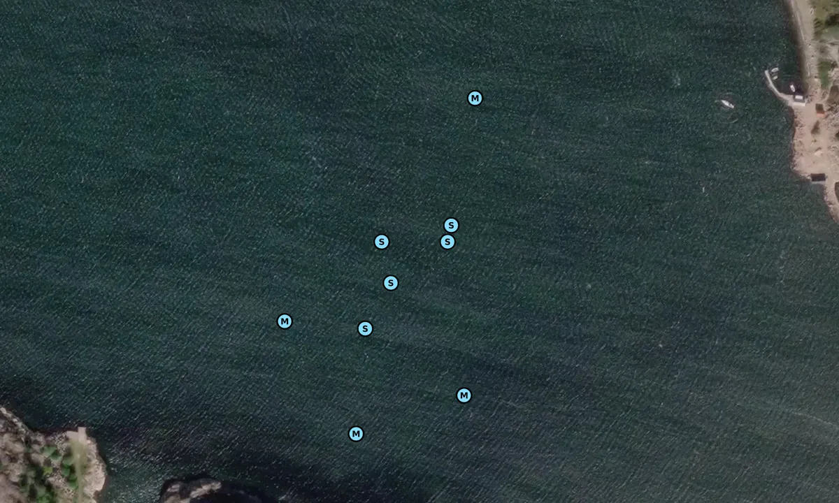 Satelite image of Vikefjord