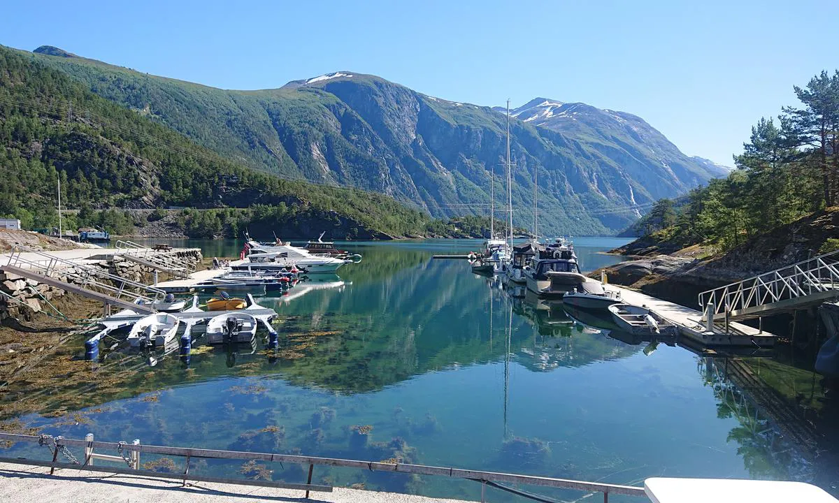 Viken Gjestehavn: {"base": "no", "no": "Oversikts bilde av brygger. Bildet er tatt mot \u00f8st retning Tafjord.", "se": "\u00d6versiktsbild av bryggor. Bilden \u00e4r tagen mot \u00f6ster i riktning mot Tafjord.", "en": "Overview image of wharves. The picture is taken facing east towards Tafjord.", "da": "Oversigtsbillede af brygger. Billedet er taget mod \u00f8st, retning Tafjord."}