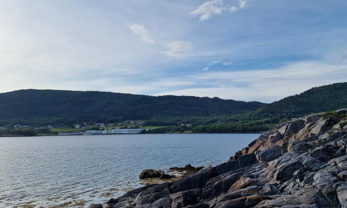 Vikholmen friluftsområde: {"base": "no", "no": "Fra nordsiden av \u00f8ya mot Ellings\u00f8ya.", "se": "Fr\u00e5n nordsidan av \u00f6n mot Ellings\u00f6ya.", "en": "From the north side of the island towards Ellings\u00f8ya.", "da": "Fra nordsiden af \u00f8en mod Ellings\u00f8ya."}
