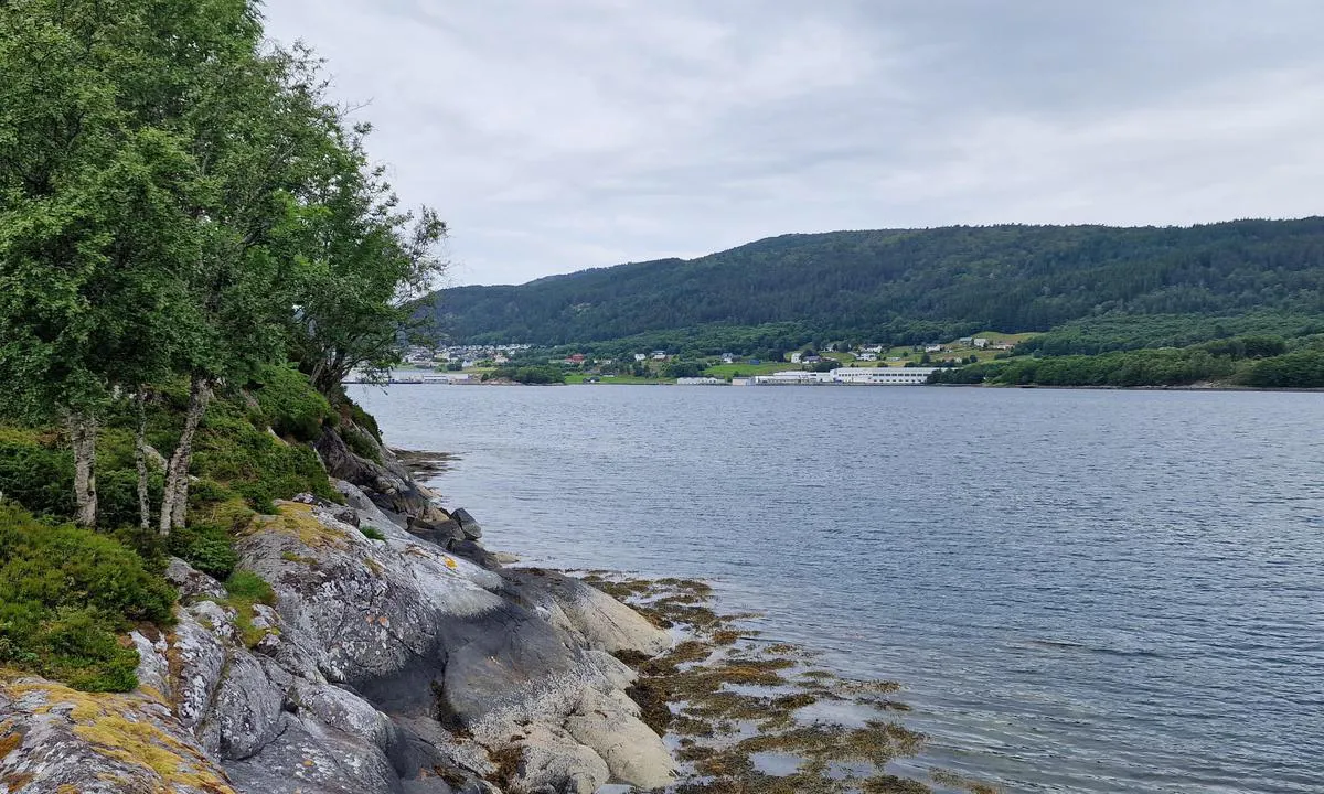 Vikholmen friluftsområde: {"base": "no", "no": "Det er en strandlinje p\u00e5 nordsiden av \u00f8ya, ca midt p\u00e5. Ser her vestover mot et fiskemottak, samt Sperrenakken oppe p\u00e5 fjellet.", "se": "Det finns en strandlinje p\u00e5 norra sidan av \u00f6n, ungef\u00e4r i mitten. H\u00e4r ser du v\u00e4sterut mot en fiskemottagning, samt Sperrenakken uppe p\u00e5 berget.", "en": "There is a shoreline on the north side of the island, approximately in the middle. Looking westward here towards a fish reception facility, as well as Sperrenakken up on the mountain.", "da": "Der er en strandlinje p\u00e5 nordsiden af \u00f8en, ca midt p\u00e5. Ser her vestover mod et fiskemodtagelsessted, samt Sperrenakken oppe p\u00e5 bjerget."}
