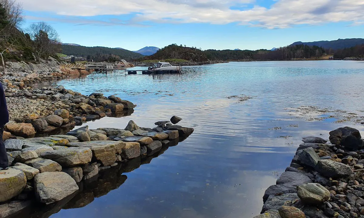 Vikholmen friluftsområde: {"base": "no", "no": "Fra st\u00f8a mot flytebryggene.", "se": "Fr\u00e5n st\u00f6tet mot flytbryggorna.", "en": "From the quay towards the floating docks.", "da": "Fra kajen mod flydebroerne."}
