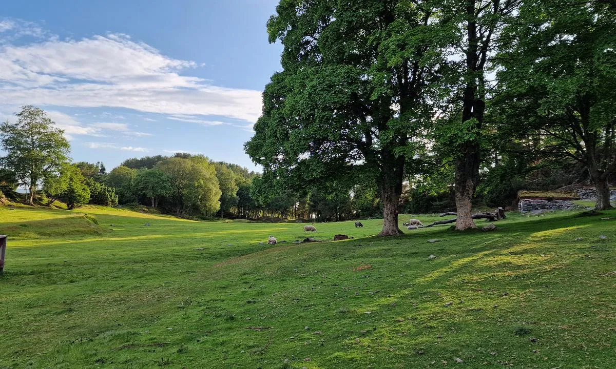 Vikholmen friluftsområde: {"base": "no", "no": "Sauer g\u00e5r l\u00f8se p\u00e5 beite her ute, og p\u00e5 flere andre av \u00f8yene i Ellings\u00f8yfjorden.", "se": "F\u00e5r g\u00e5r l\u00f6sa p\u00e5 bete h\u00e4r ute, och p\u00e5 flera andra av \u00f6arna i Ellings\u00f8yfjorden.", "en": "Sheep graze freely here and on several other islands in Ellings\u00f8yfjorden.", "da": "F\u00e5r gr\u00e6sser frit herude og p\u00e5 flere andre af \u00f8erne i Ellings\u00f8yfjorden."}