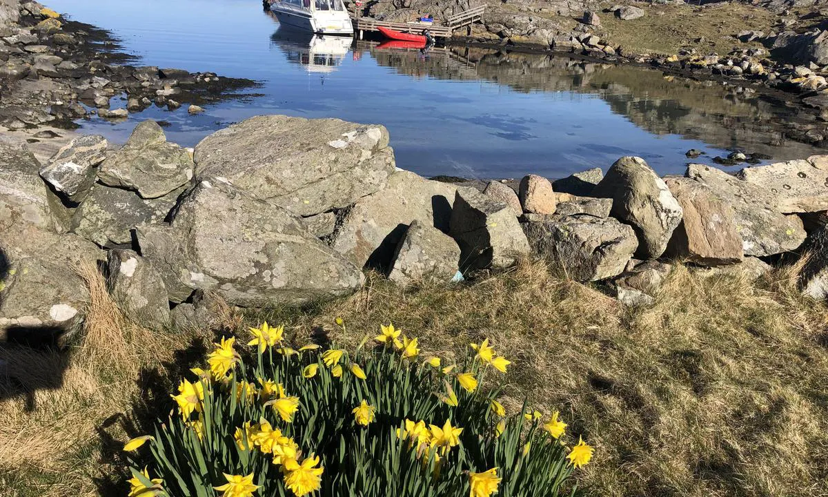 Vikkilen: Legger til longside her inne. Plass til to båter på brygga. Enkel innseiling.
Det kan komme vind i fra øst/sydøst igjennom vika.