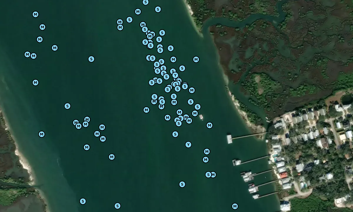 Satelite image of Vilano Marsh