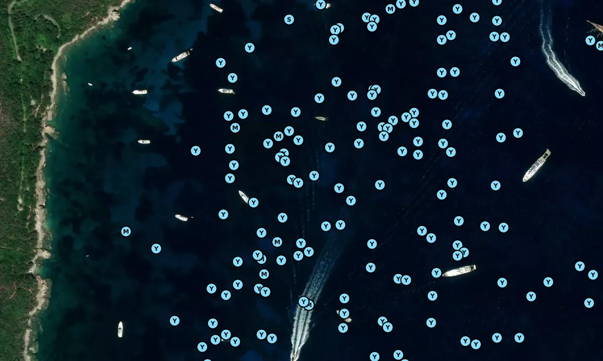 Satelite image of Villa Certosa