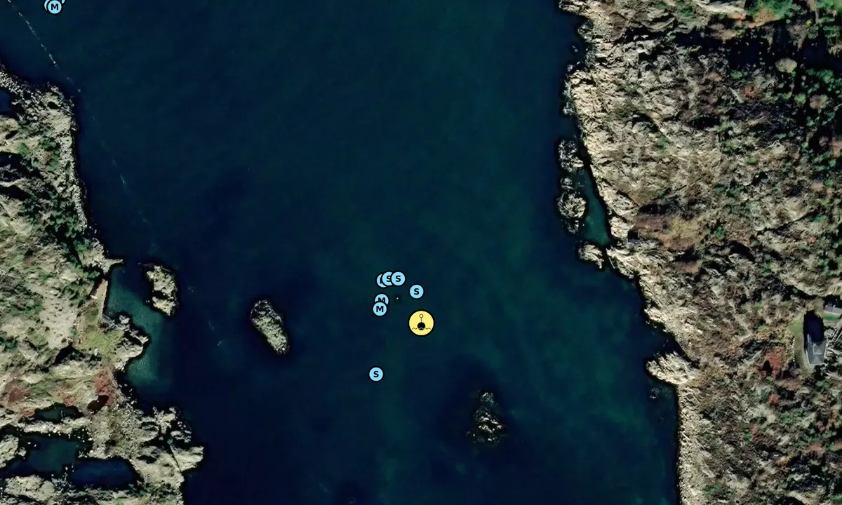 Satelite image of Vinbärsholmen - SXK Västkust bouy