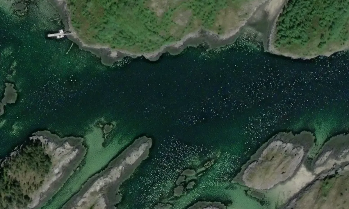 Satelite image of Vindhammarsundet