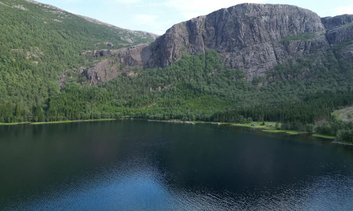 Vindspollen