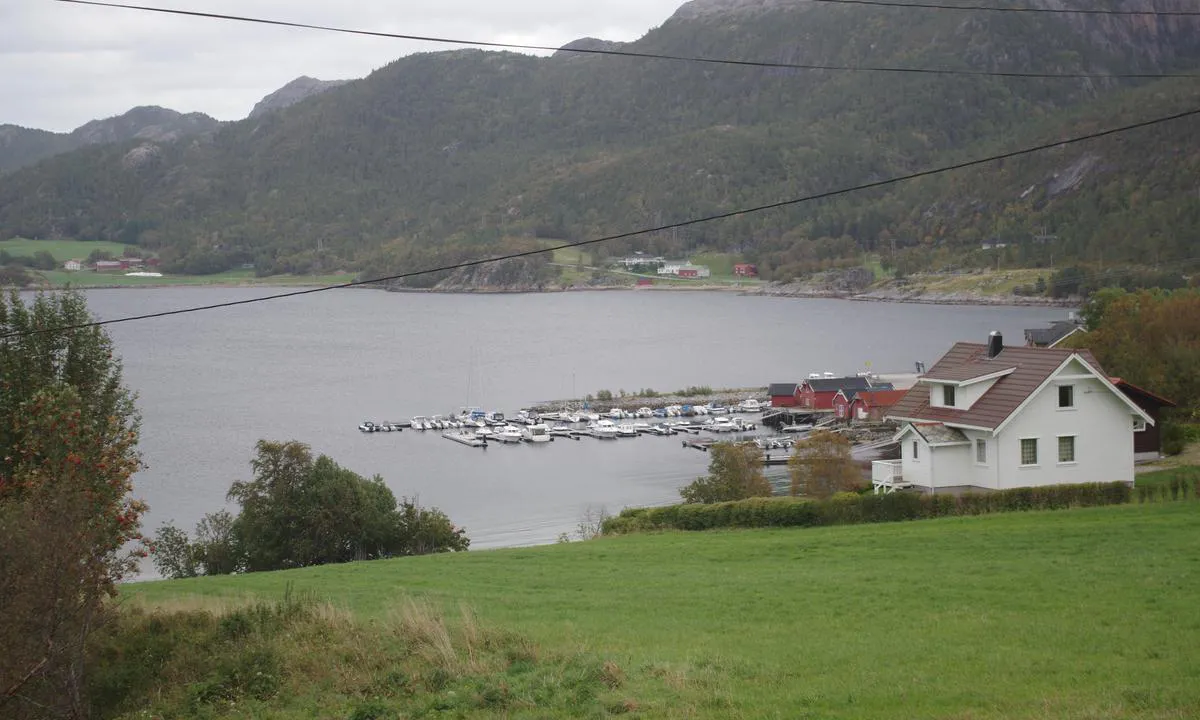 Vingevågen