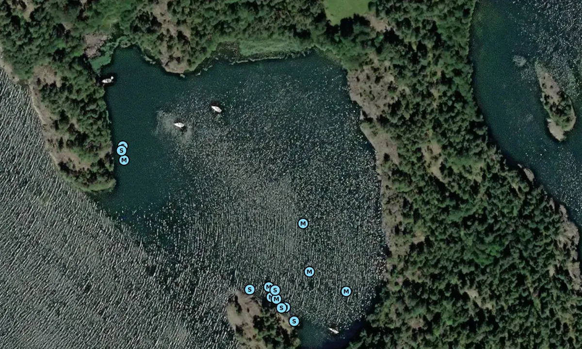 Satelite image of Vinökalv