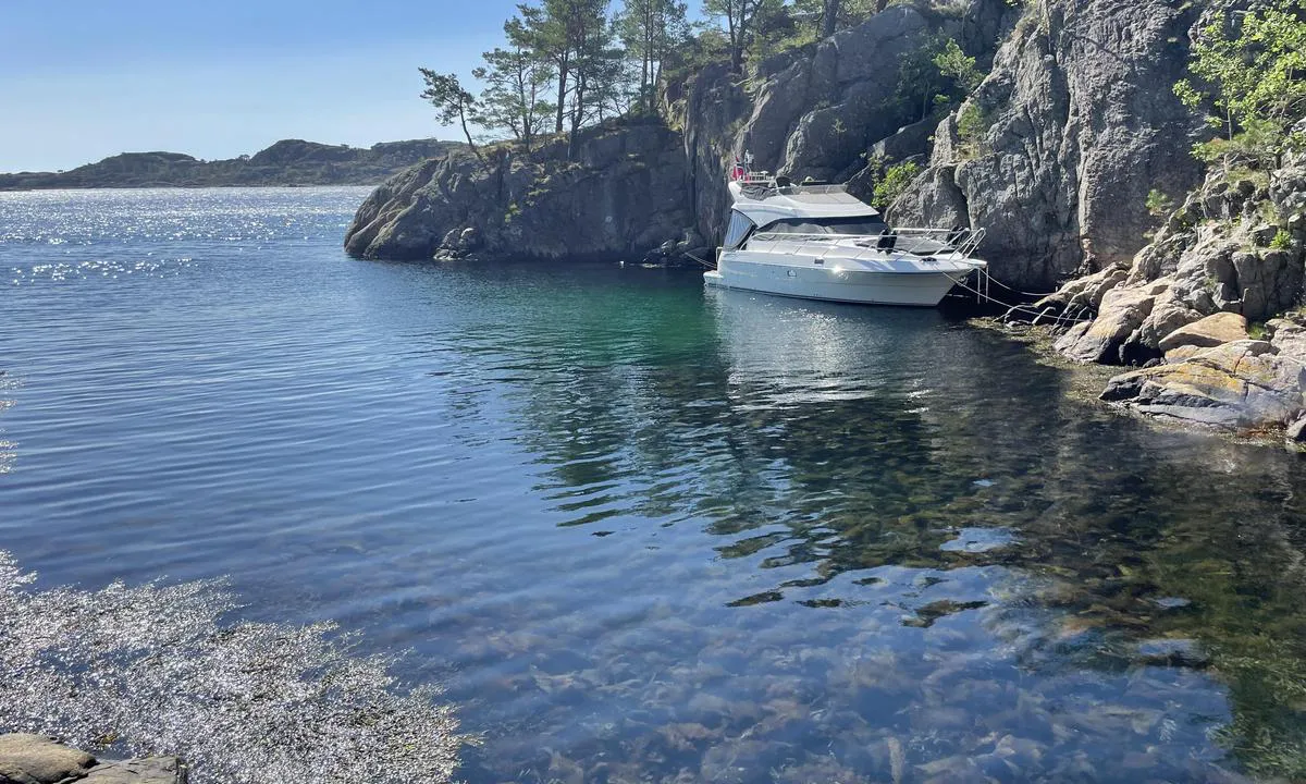 Vognsnes