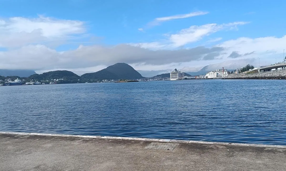 Voldsdalsvågen Marina: {"base": "no", "no": "\u00c5lesund sentrum like i n\u00e6rleiken", "se": "\u00c5lesund centrum ligger alldeles i n\u00e4rheten", "en": "Alesund city center is nearby", "da": "Aalesund centrum lige i n\u00e6rheden"}