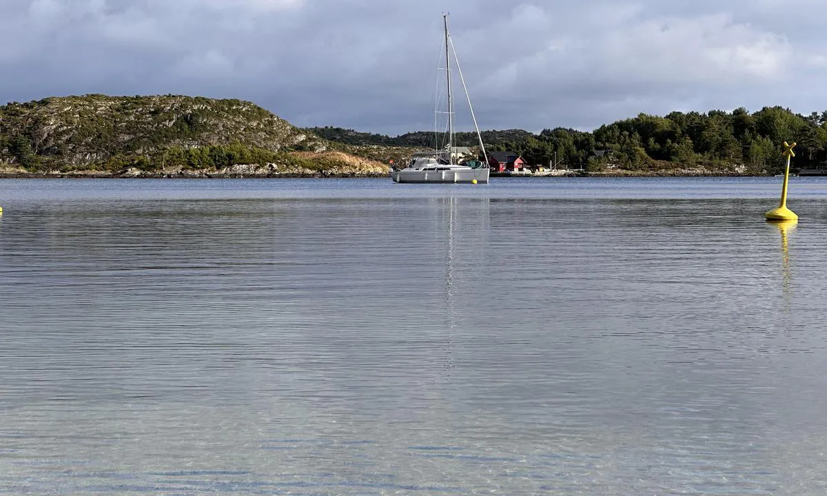 Vorlandsvågen: {"base": "no", "no": "Flytebrygge med god dybde. I tillegg to b\u00f8yer for \u00e5 ligge p\u00e5 svai.", "se": "Flytbrygga med god djup. Dessutom tv\u00e5 bojar f\u00f6r att ligga p\u00e5 svaj.", "en": "Floating dock with good depth. In addition, two buoys for mooring.", "da": "Flydebro med god dybde. Derudover to b\u00f8jer til at ligge for svaj."}