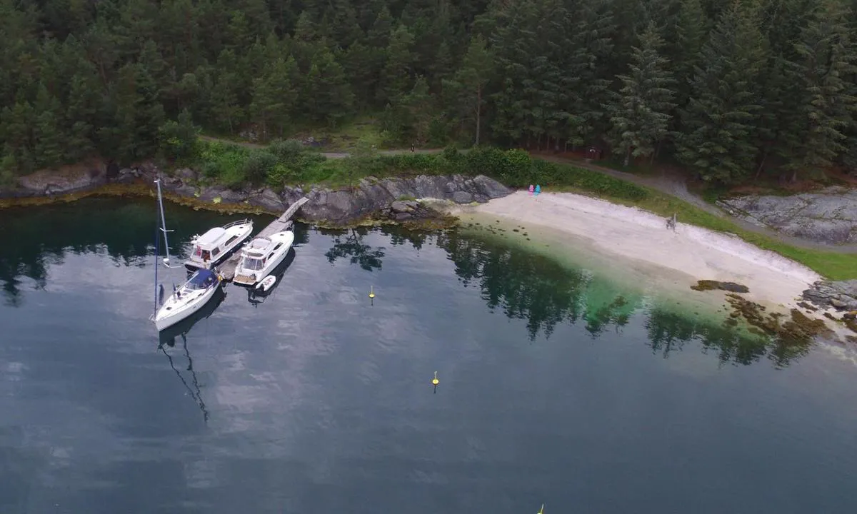Vorlandsvågen: {"base": "no", "no": "Flytebrygge med gode dybder.\r\nFlott sandstrand.", "se": "Flytbrygga med bra djup.<br>Fin sandstrand.", "en": "Floating dock with good depths.<br>Beautiful sandy beach.", "da": "<p>Flydebro med gode dybder.</p><p>Flot sandstrand.</p>"}