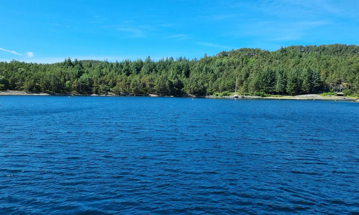 Vorlandsvågen: Mot stranden og flytebryggen.